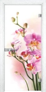 Стъклена врата Gama Print G 13-2, Бреза