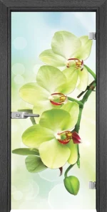 Стъклена врата Gama Print G 13-3 Green, Сив кестен