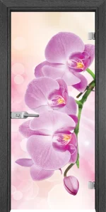 Стъклена врата Gama Print G 13-3 Pink, Сив кестен