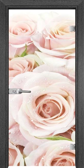 Стъклена врата Gama Print G 13-7, Сив кестен